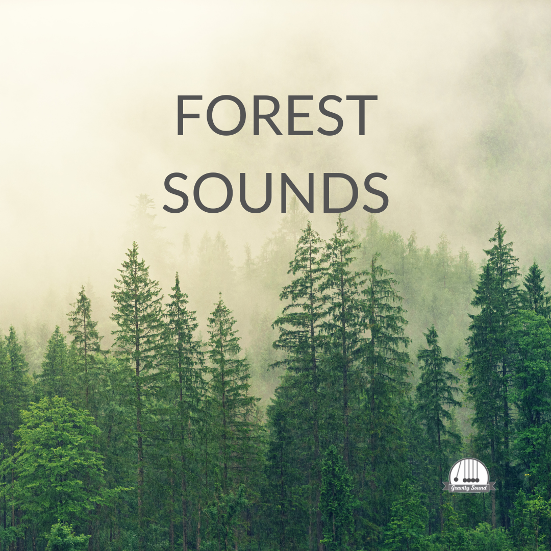 Forest Sounds