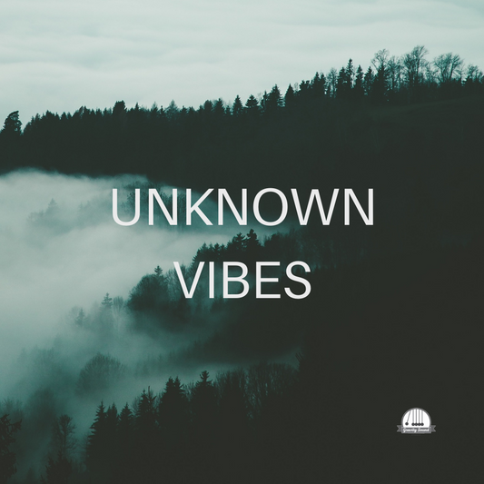 Unknown Vibes