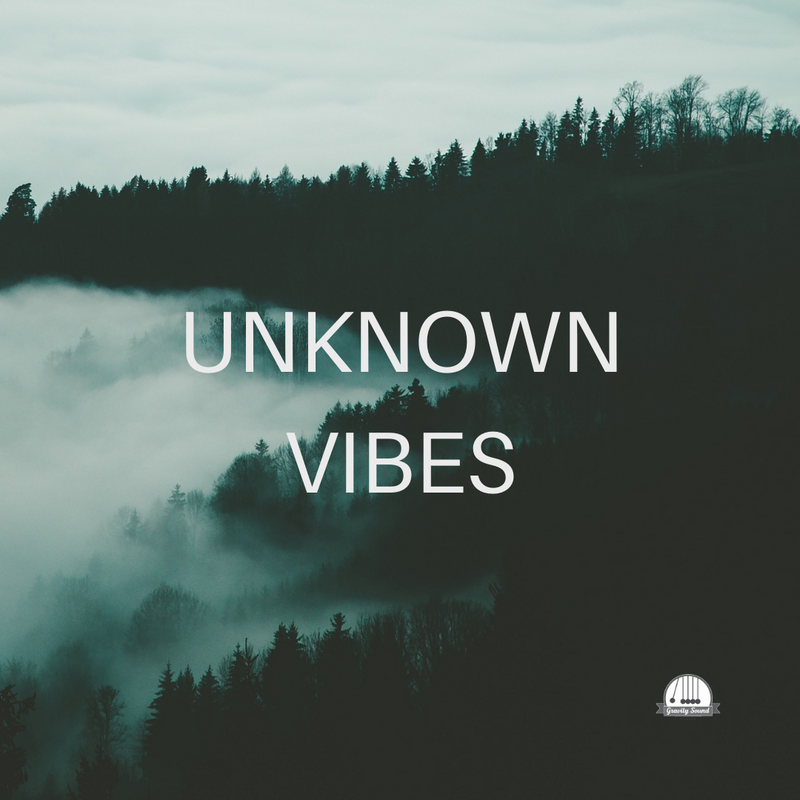 Unknown Vibes