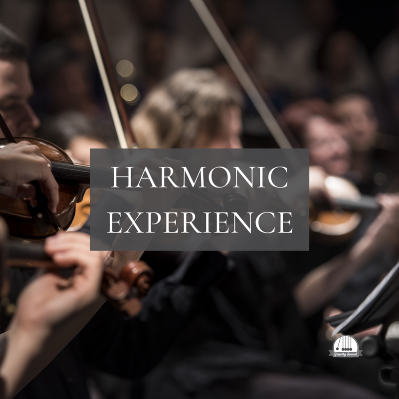 Harmonic Experience