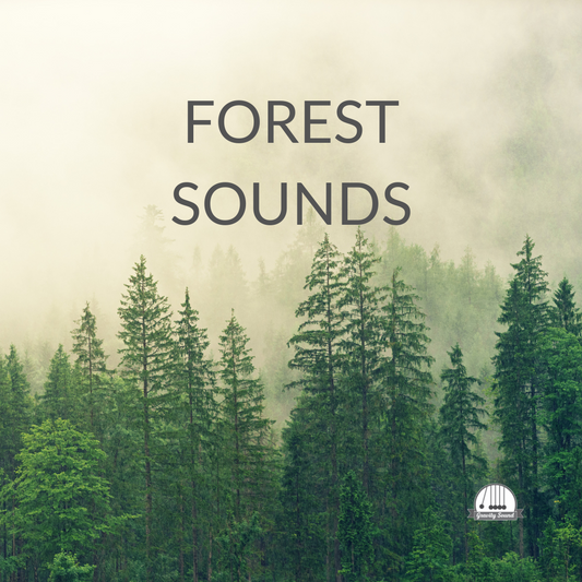 Forest Sounds