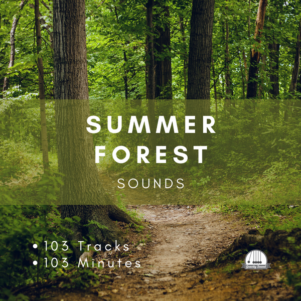 Summer Forest Sounds