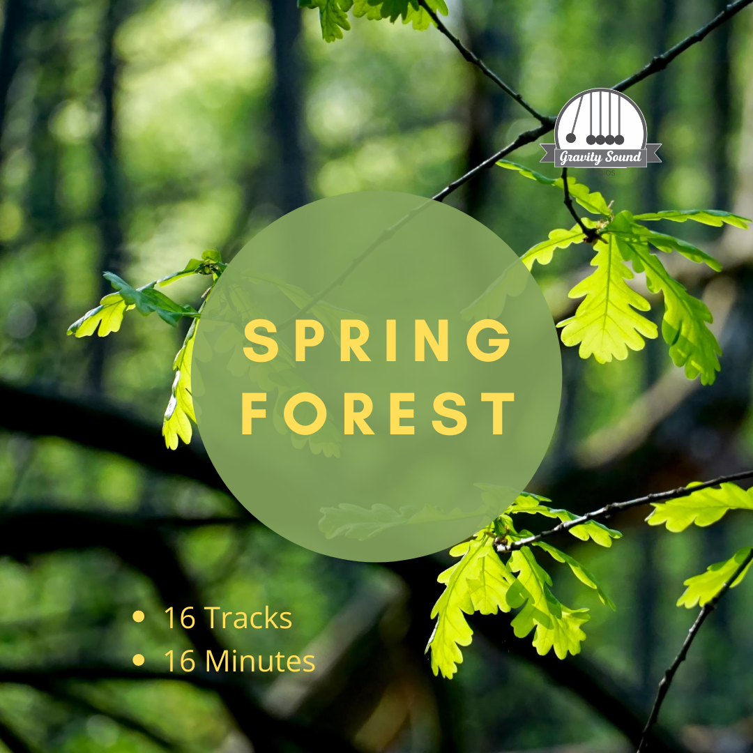 Spring Noises Spring Forest Sounds – Gravity Sound Studio