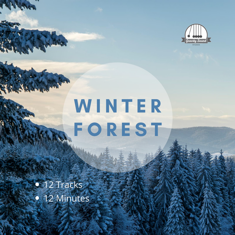 Winter Forest Sounds